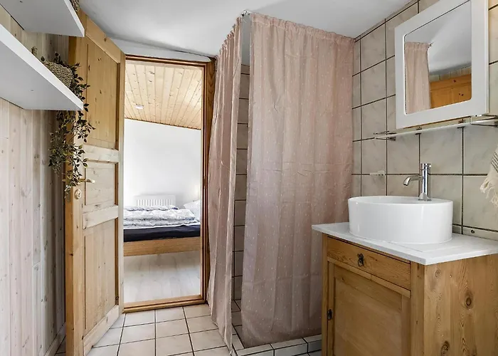Tatil Evi Pinen X Roslev